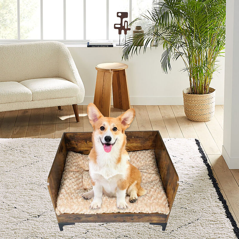 Tempat Tidur Anjing Tinggi Kayu Dalam Ruangan Modern Dengan Bingkai Tempat Tidur Anjing Tinggi Kayu Dalam Ruangan Modern Dengan Bingkai